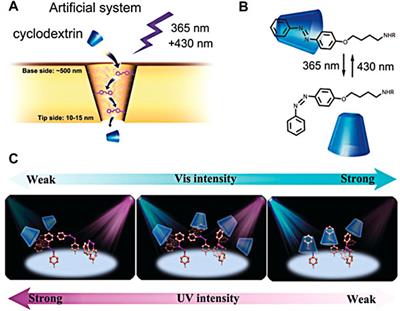 Light-responsive nanochannels based on the supramolecular host–guest system